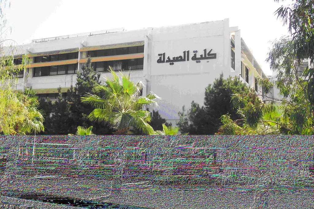 Tishreen University